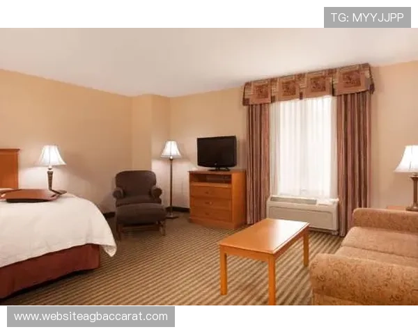 最新优化的旗舰厅ag登录线路，确保玩家快速顺畅登录无障碍