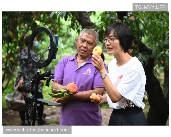 全面解析真人视讯技巧助你打造专业高效的直播环境与赢利方式