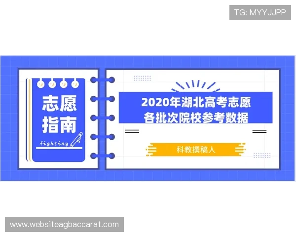 AG视讯安全接口在防止作弊与数据泄露中的核心作用与应用技巧