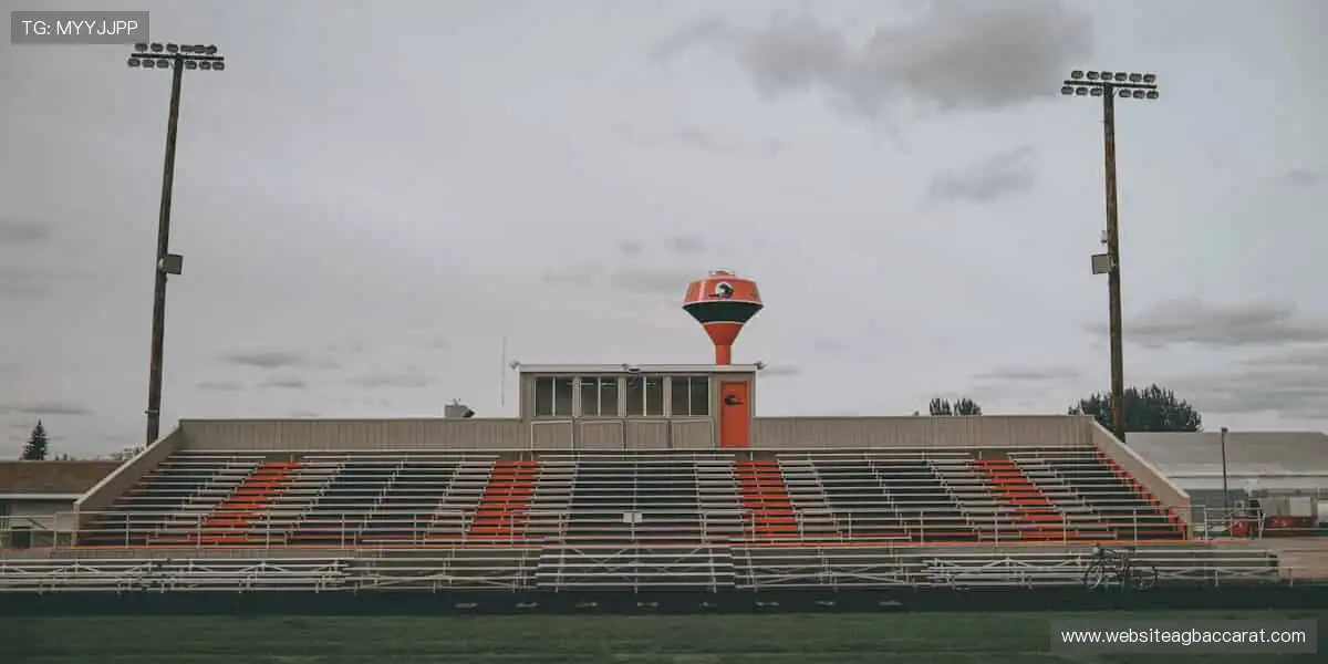 📡高清回放,精彩瞬间永不褪色!📽️